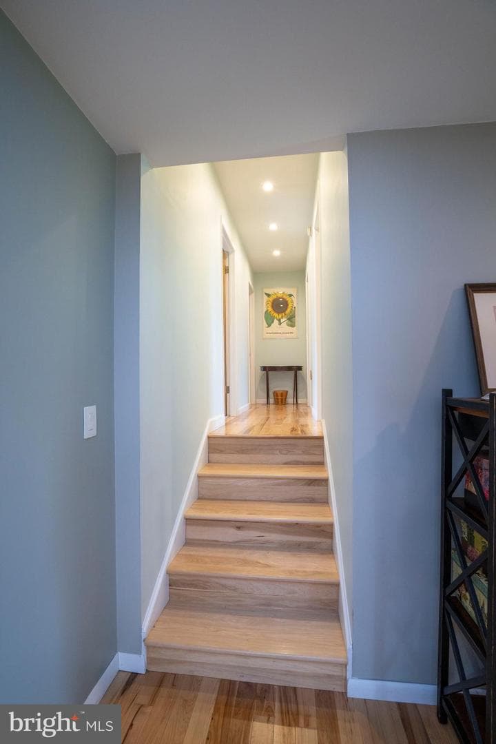 131 Terry Street photo 23