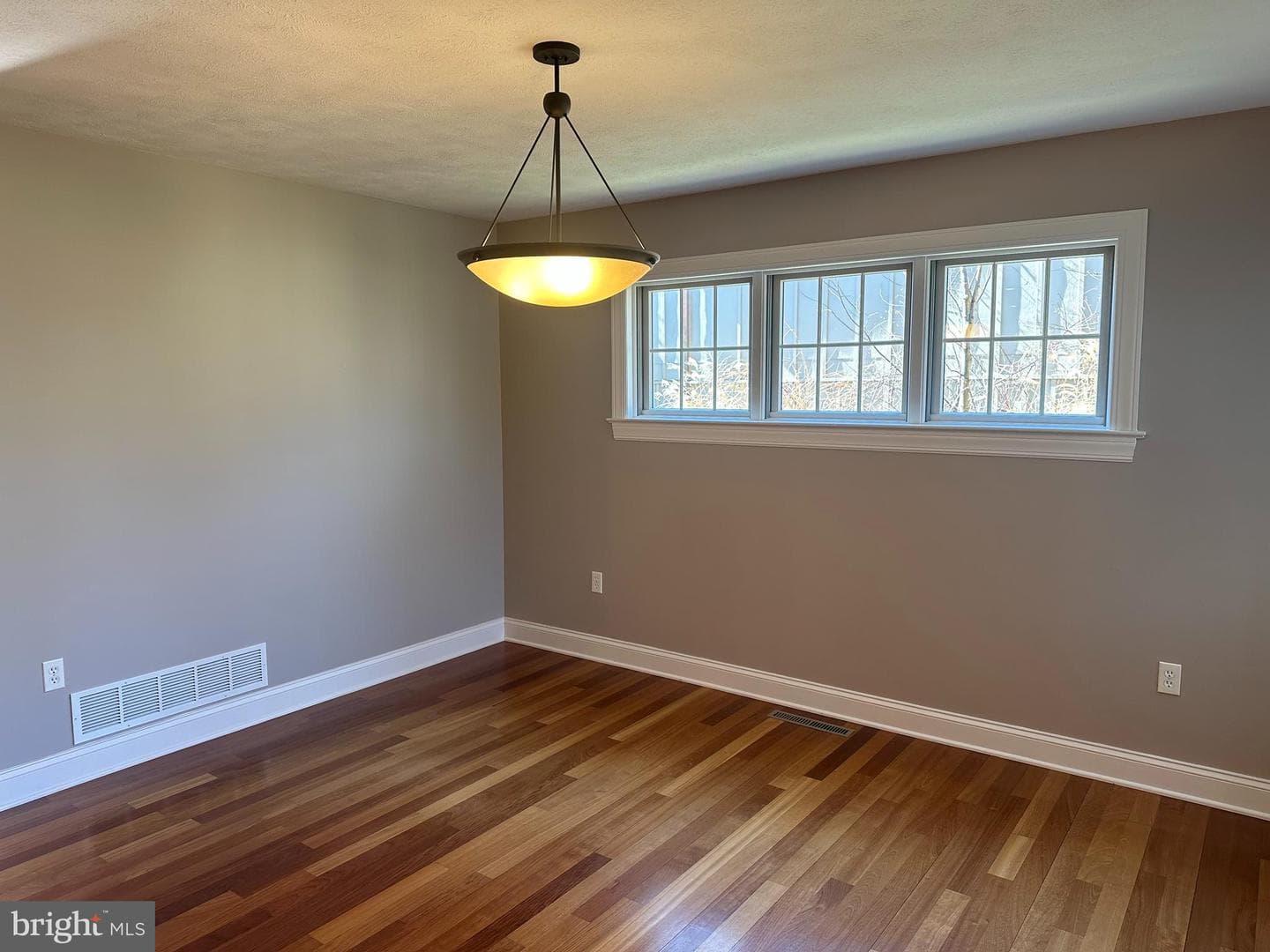 1007 Amelia Ave. photo 16