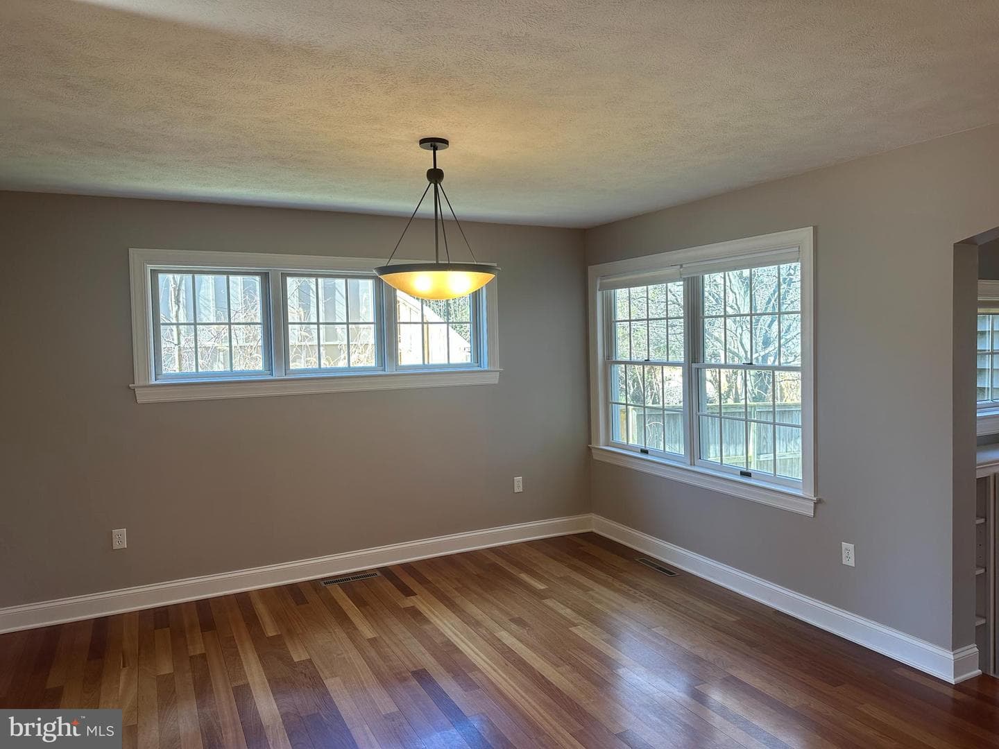 1007 Amelia Ave. photo 17