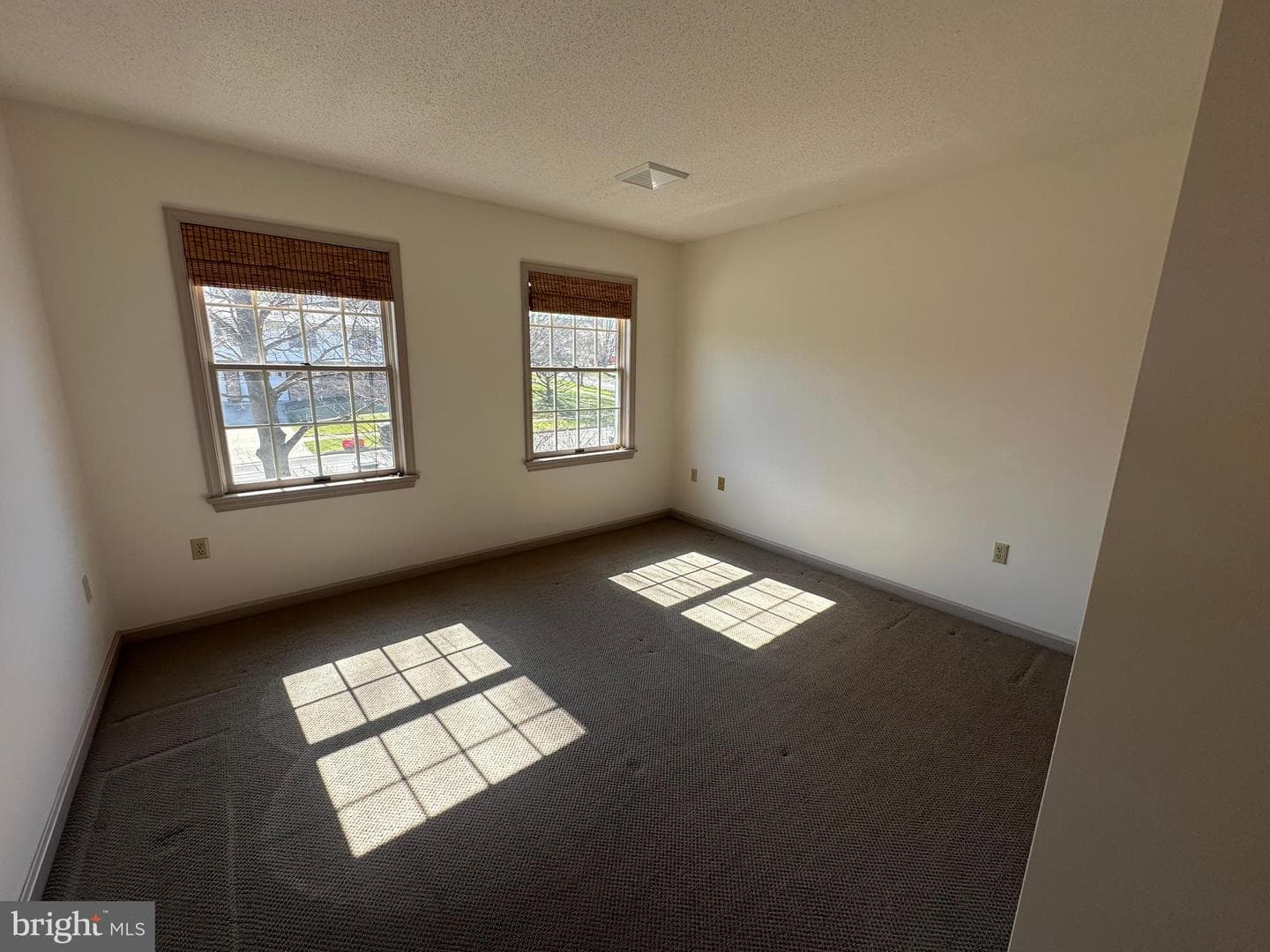 1007 Amelia Ave. photo 43