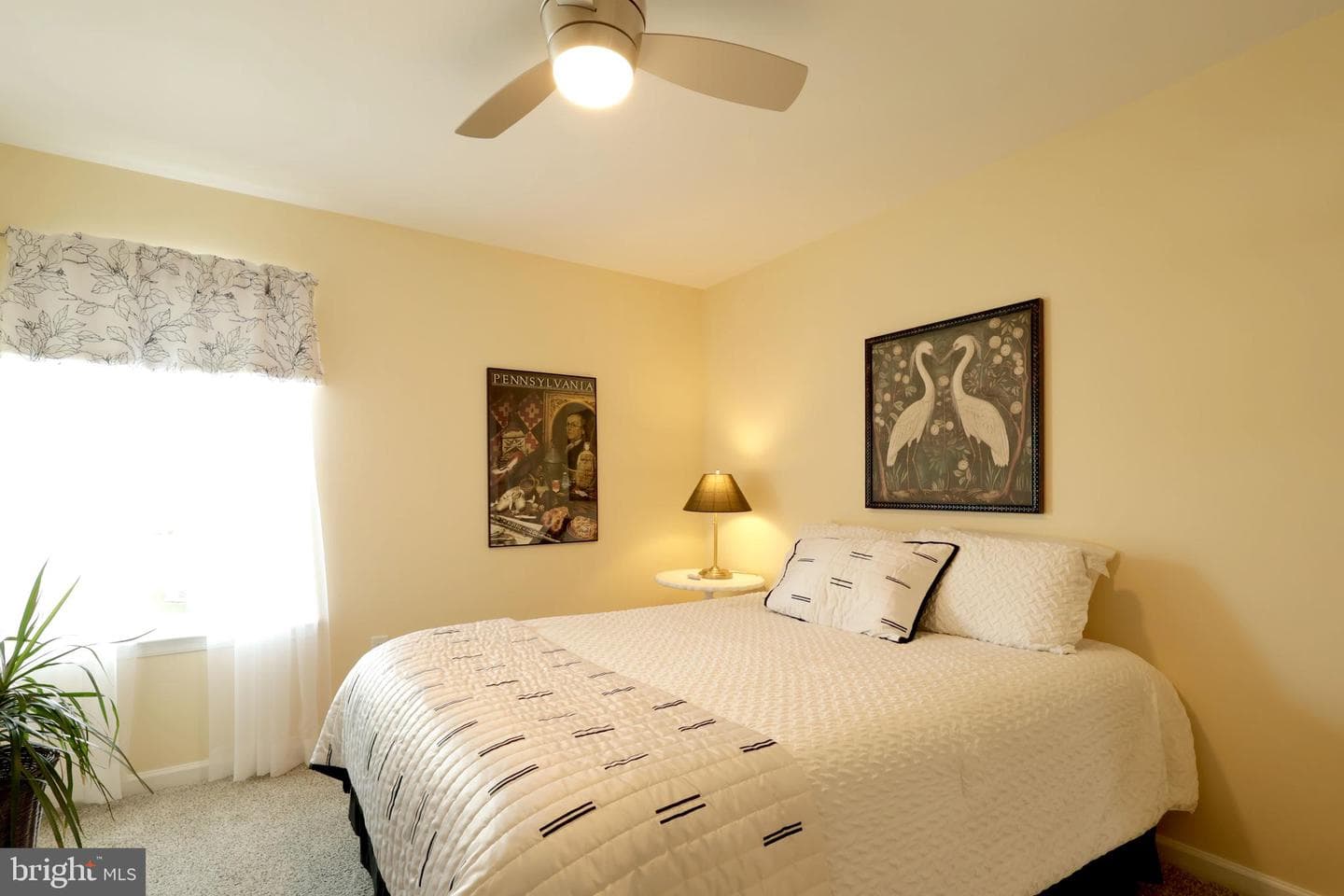 155 Isabella Circle photo 45