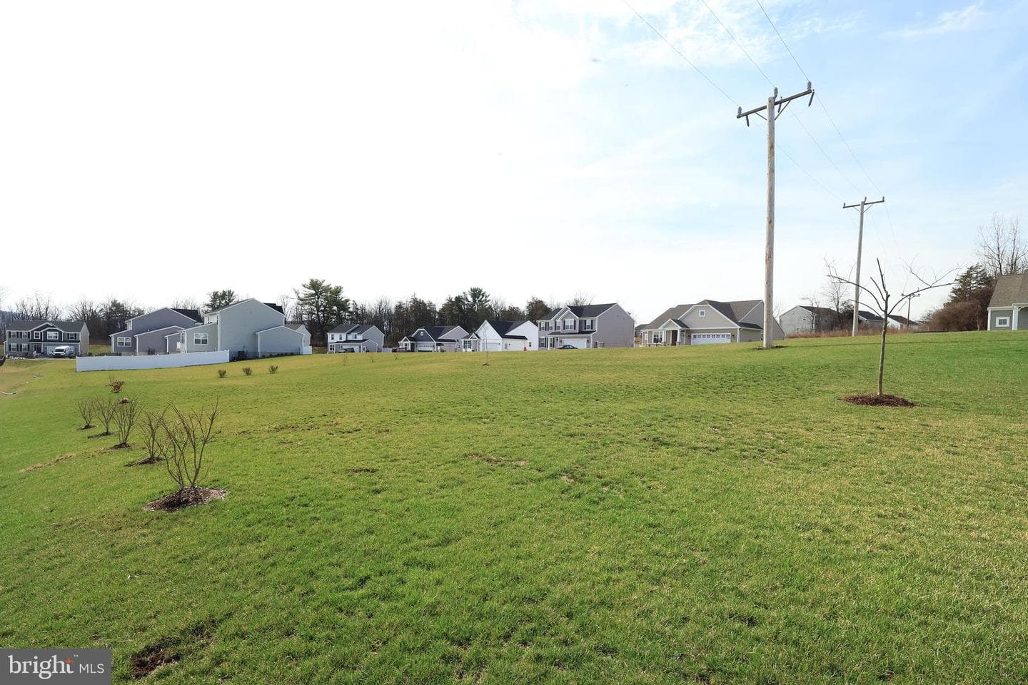 155 Isabella Circle photo 53