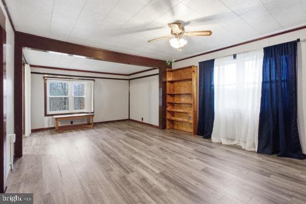 509 Ernestville Road photo 10
