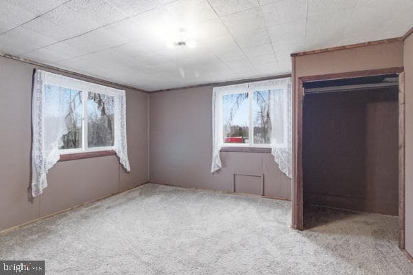 509 Ernestville Road photo 16