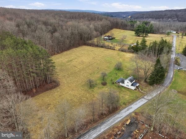 509 Ernestville Road photo 17