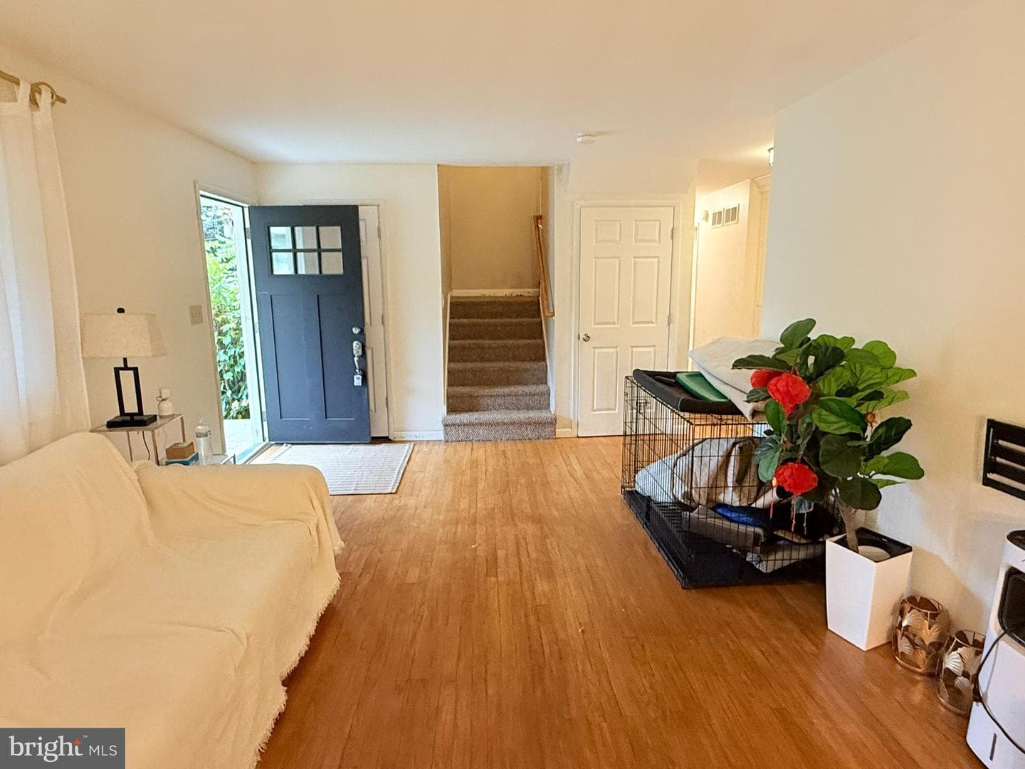 242 Spring Street photo 8