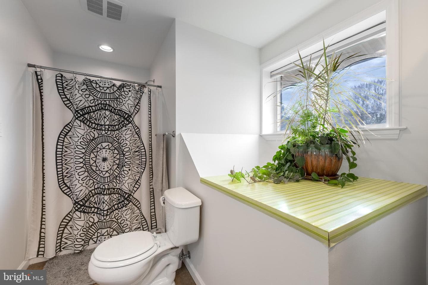 805 E High Street photo 22