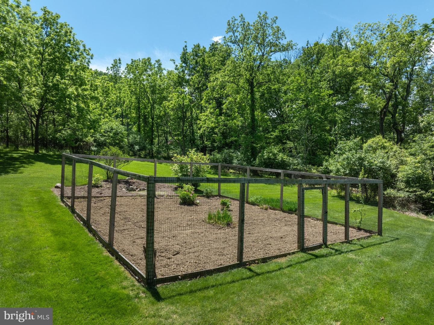 602 Windmill Road photo 18