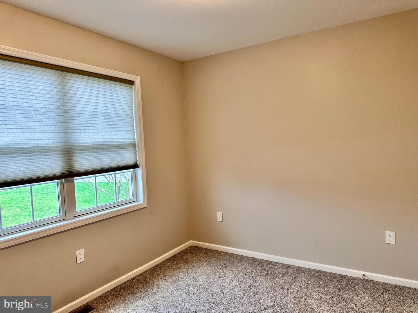 189 Bilberry Circle photo 34