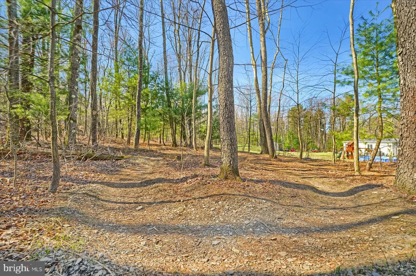 852 Spruce Road photo 44