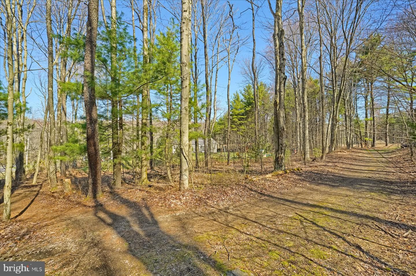 852 Spruce Road photo 45