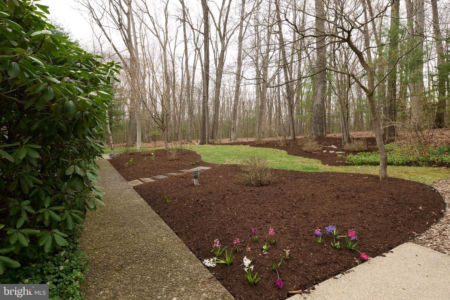 576 E Shadow Lane photo 88