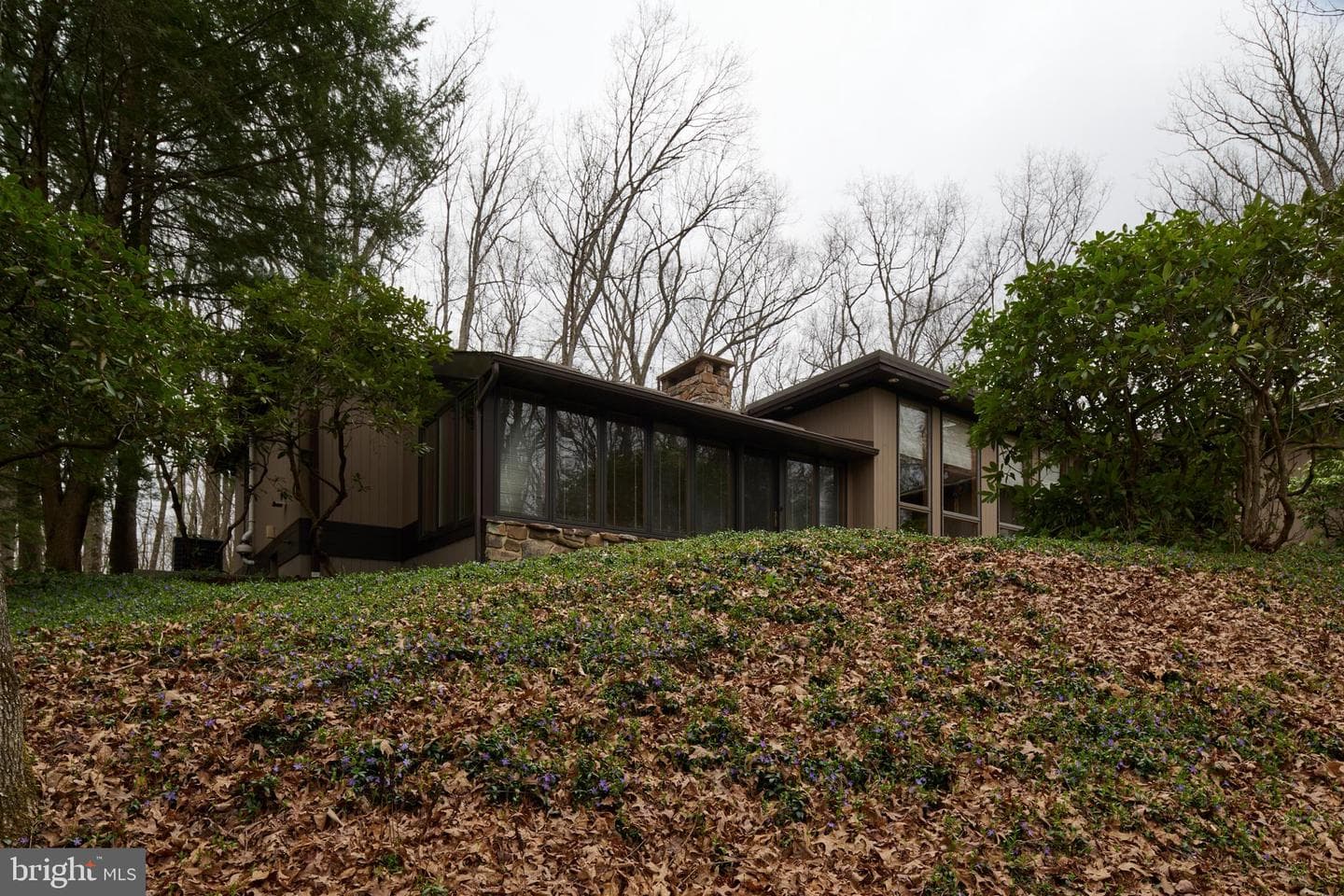 576 E Shadow Lane photo 94