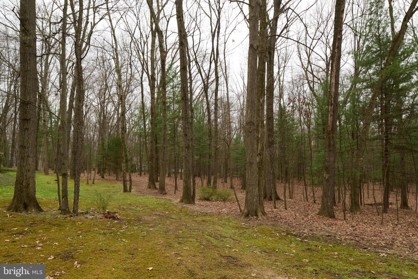 576 E Shadow Lane photo 96