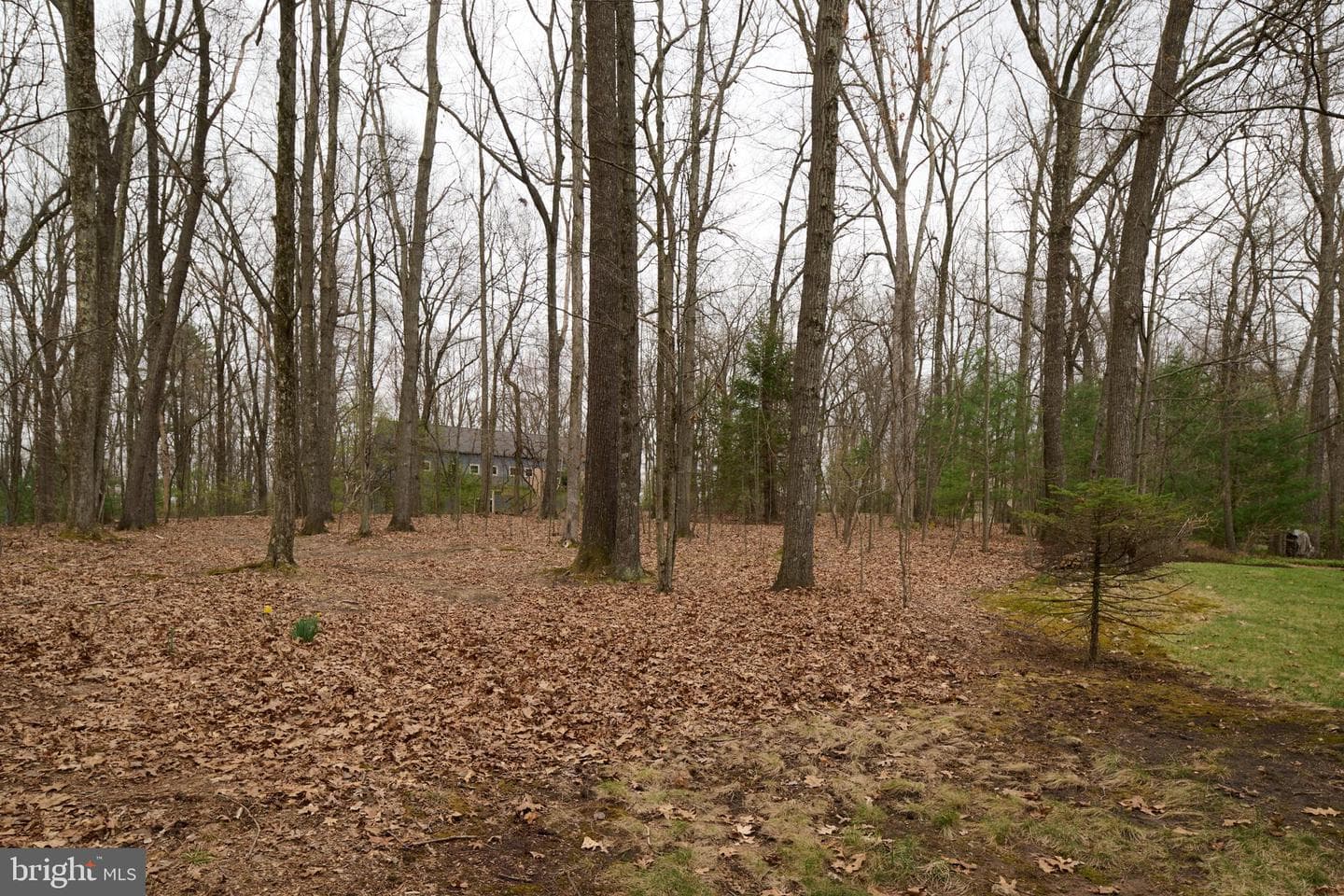 576 E Shadow Lane photo 98