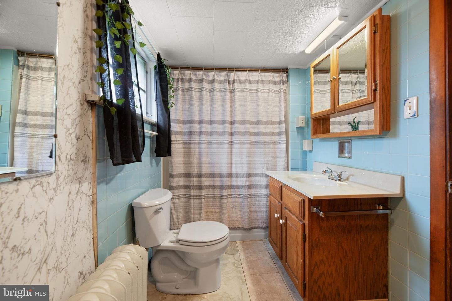 165 Richard Street photo 13