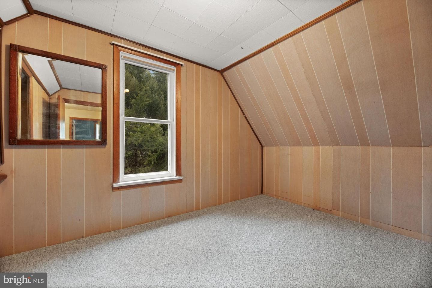 165 Richard Street photo 24