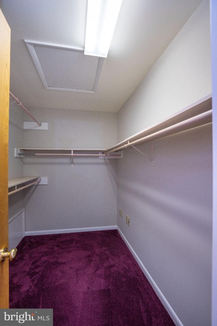 201 Tussey Terrace Circle photo 37