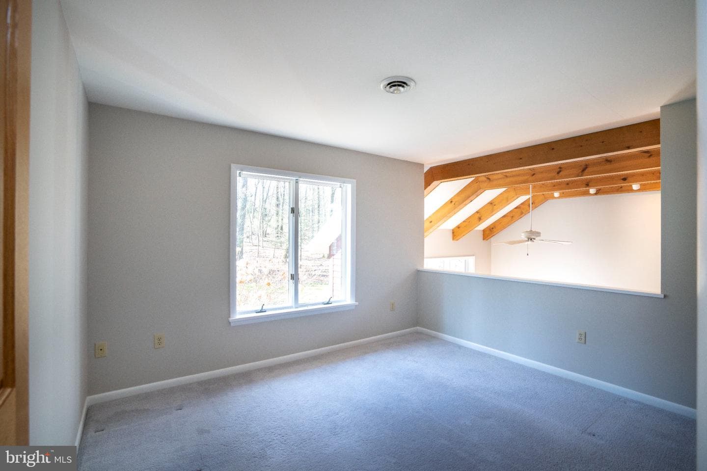 201 Tussey Terrace Circle photo 43