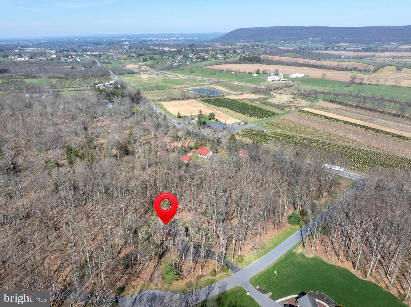 201 Tussey Terrace Circle photo 74