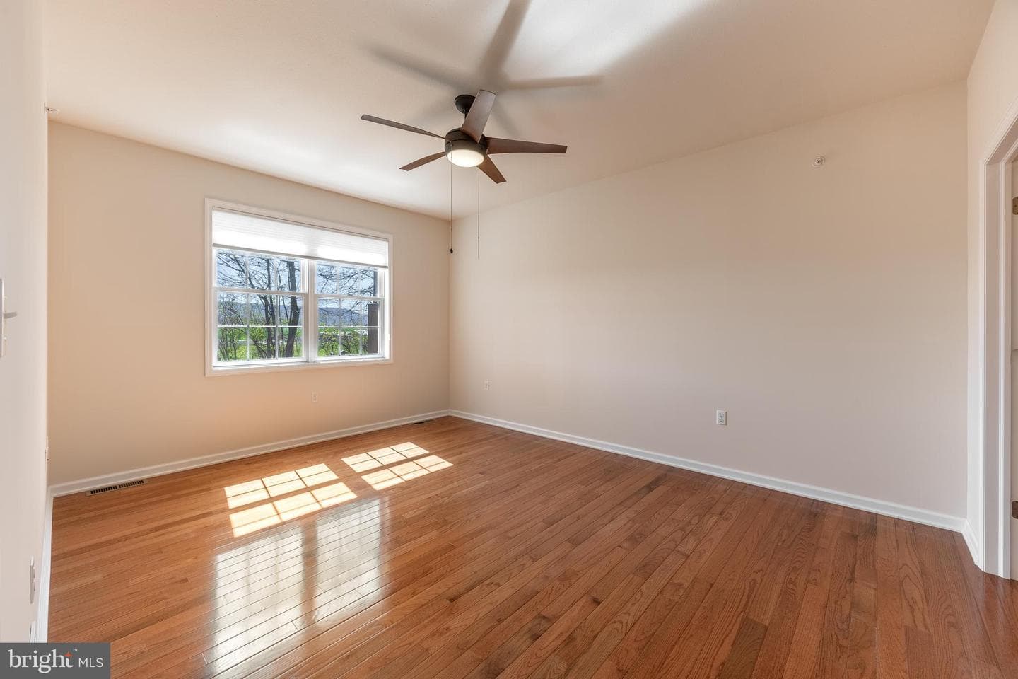 216 Rosewood Cove photo 17