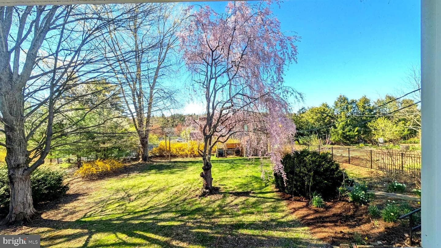 221 Ellen Avenue photo 4