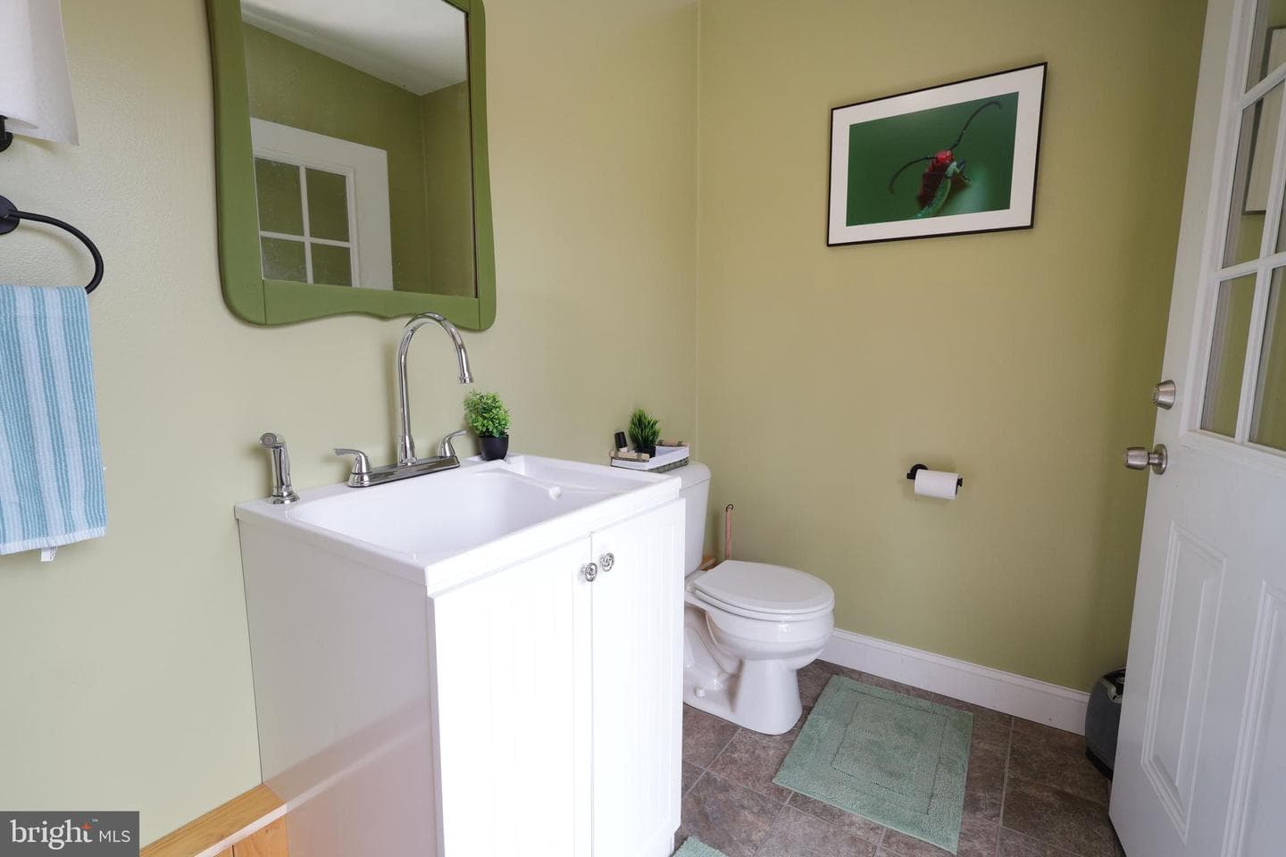 263 White Tail Road photo 18