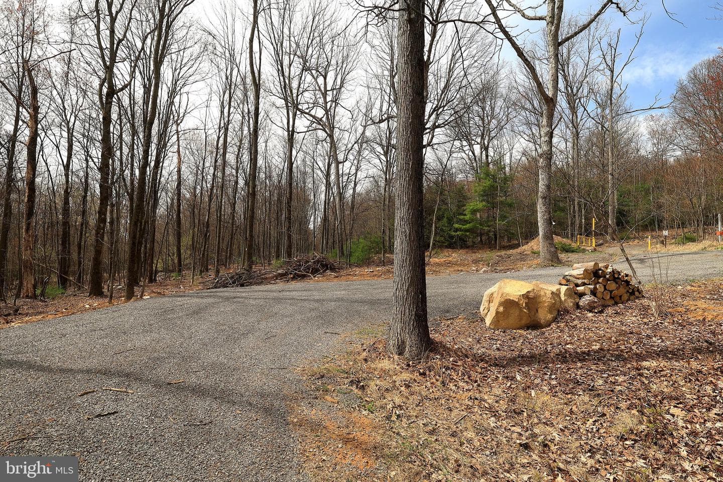 263 White Tail Road photo 21