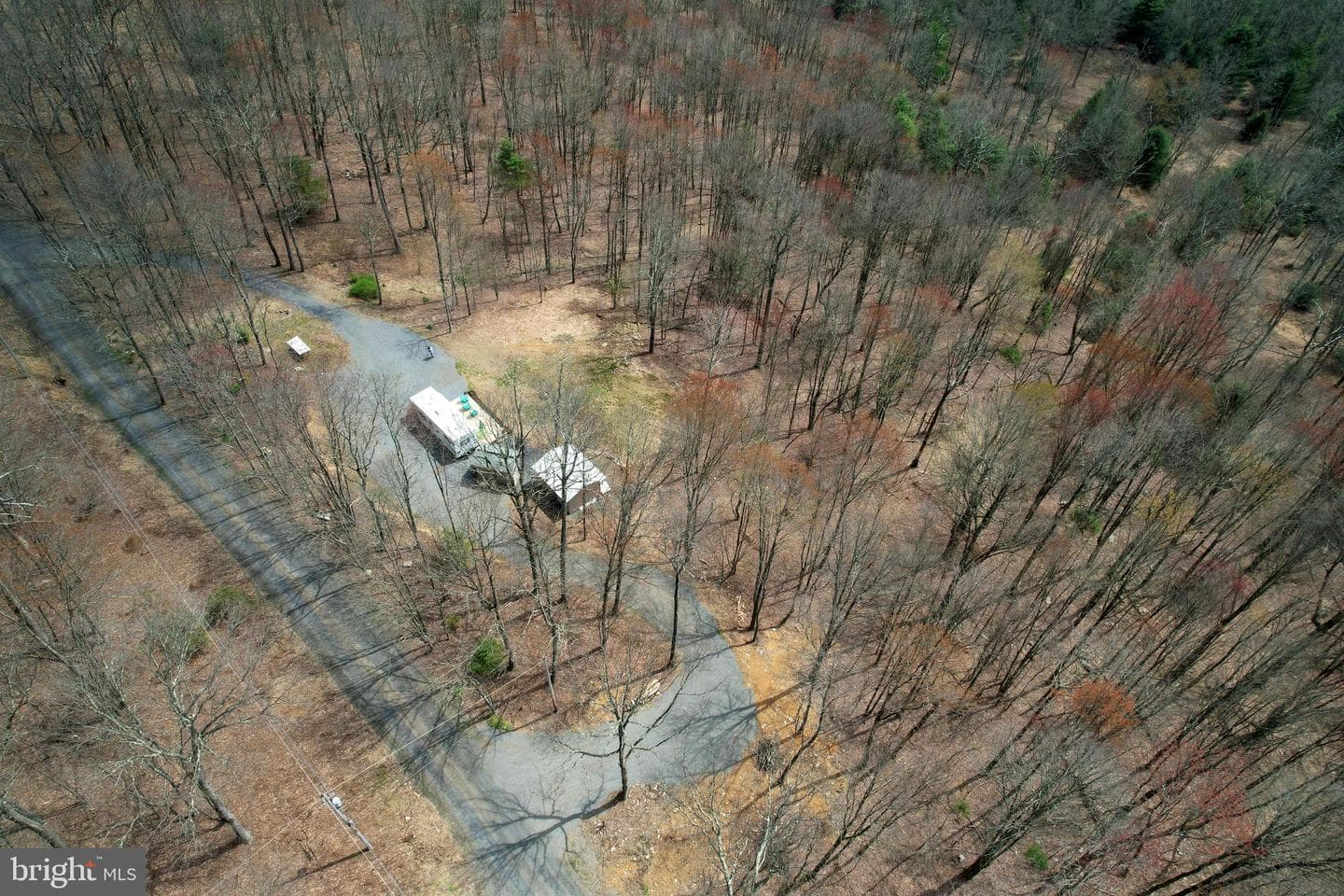 263 White Tail Road photo 26