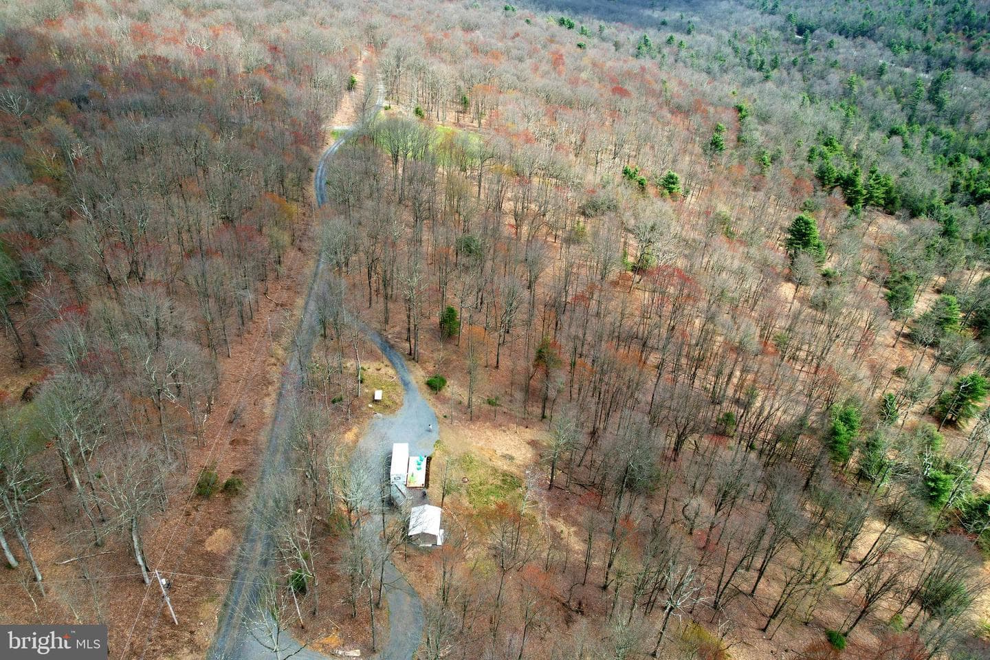 263 White Tail Road photo 27