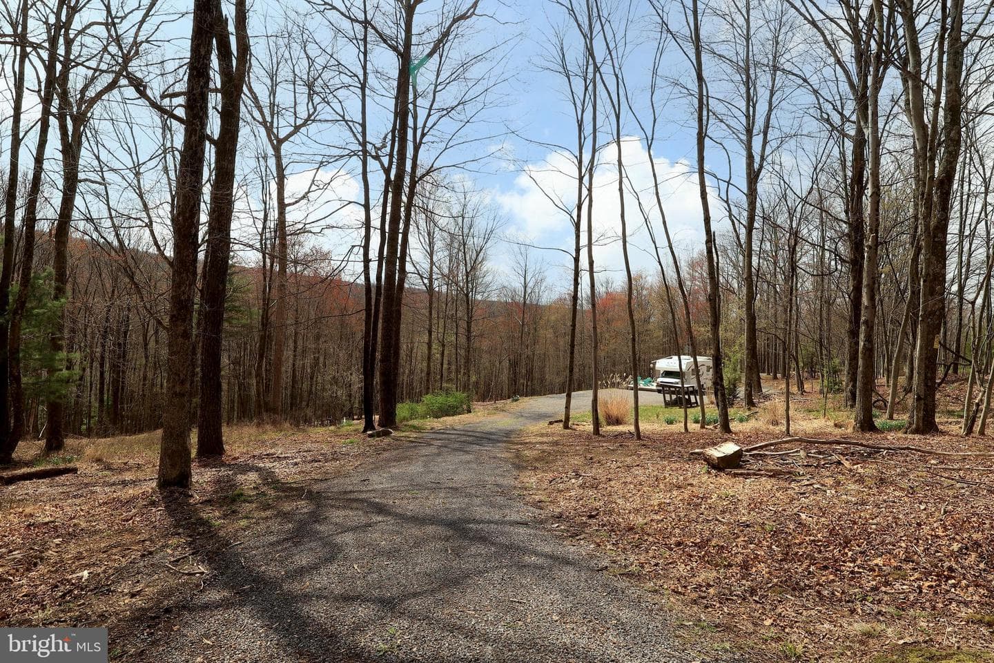 263 White Tail Road photo 29