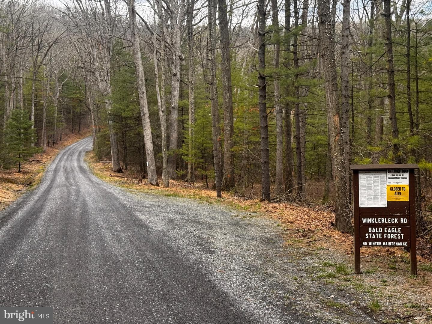 263 White Tail Road photo 47