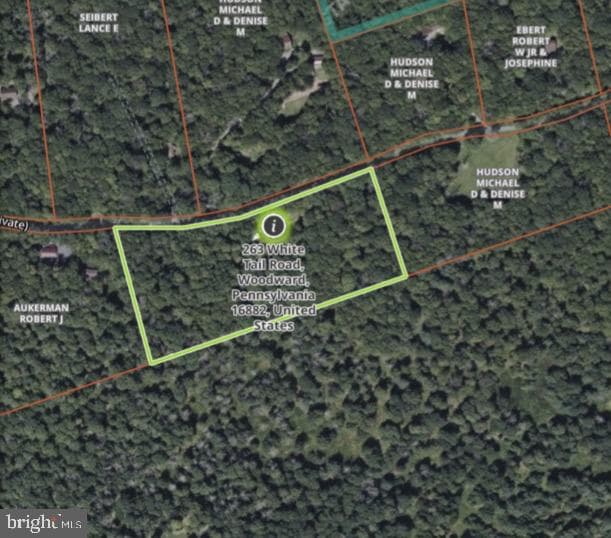 263 White Tail Road photo 50