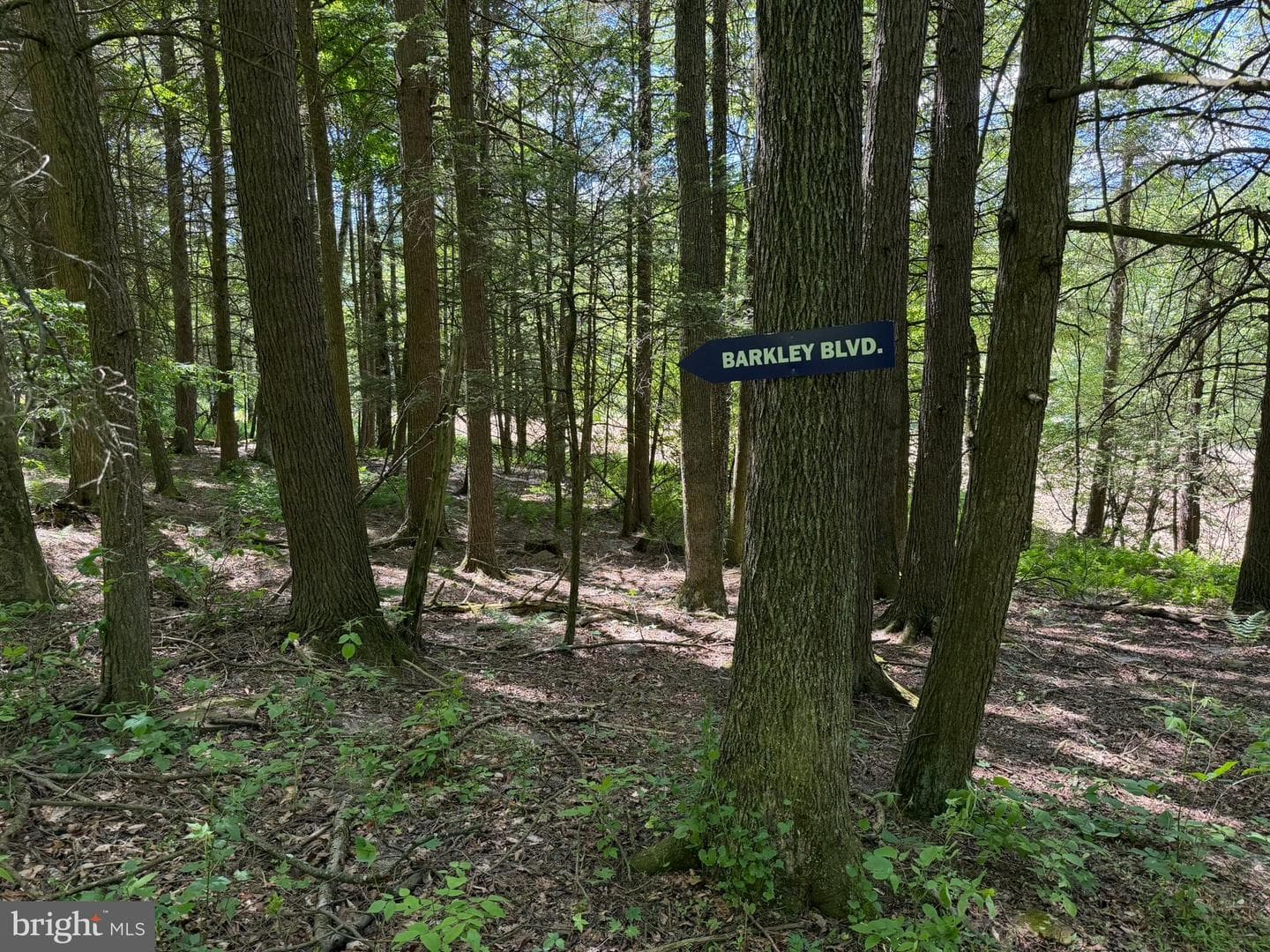 580 Fairview Road photo 4