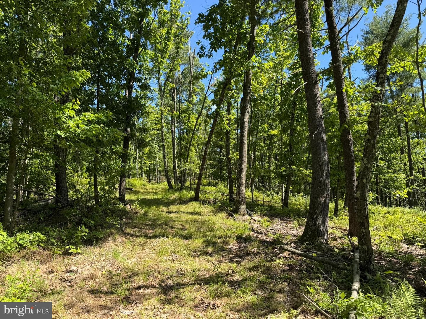 580 Fairview Road photo 49