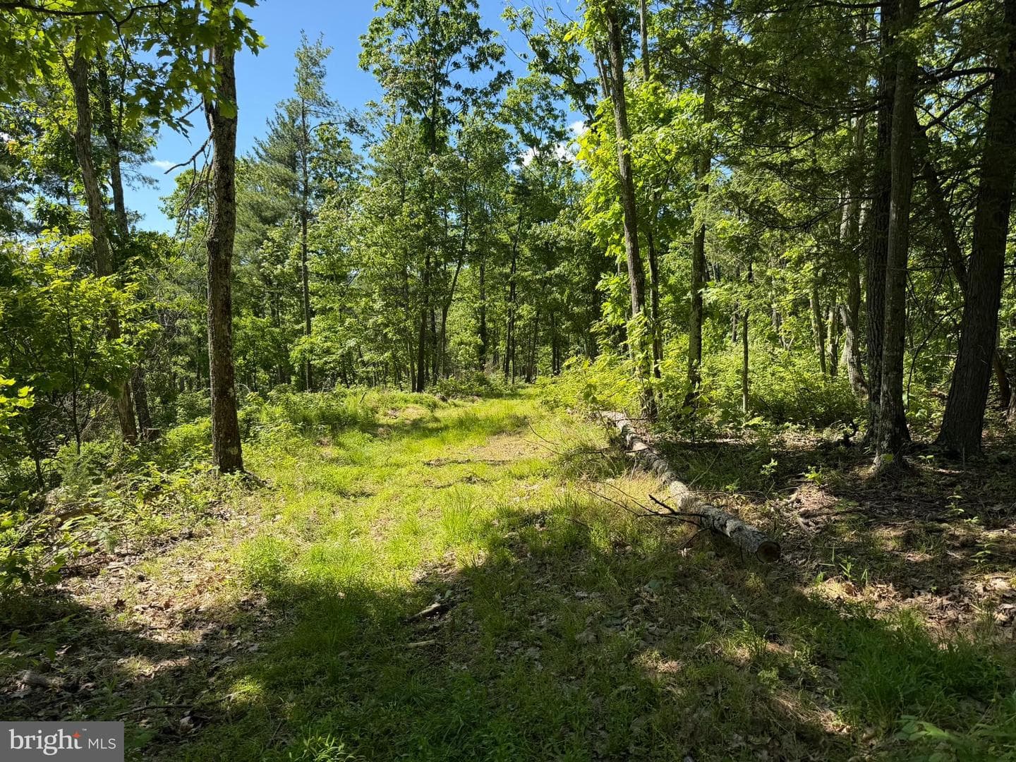 580 Fairview Road photo 51