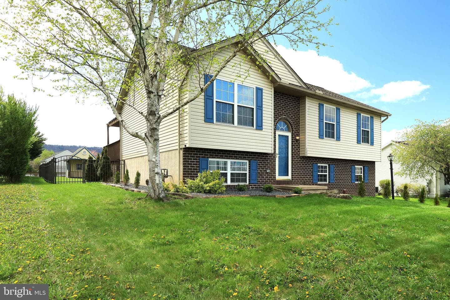 133 Steeplechase Drive photo 3