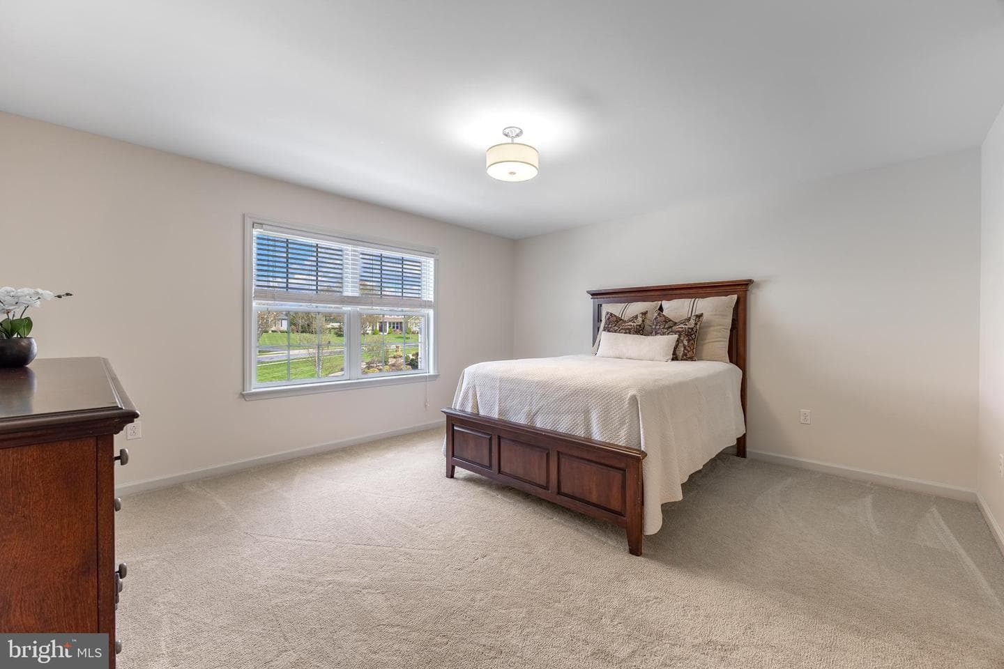 120 Meadowsweet Drive photo 42