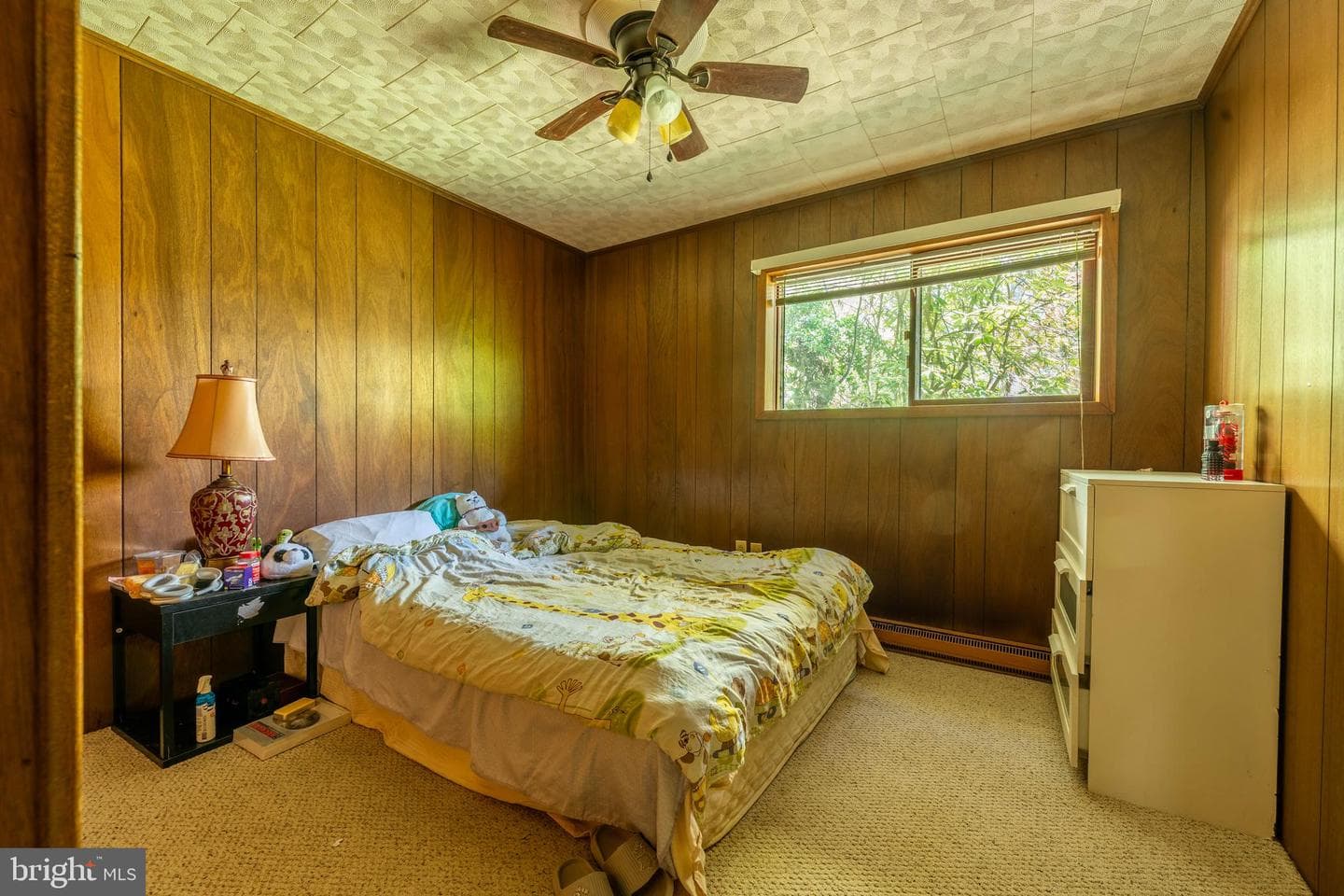 735 Westerly Parkway photo 45