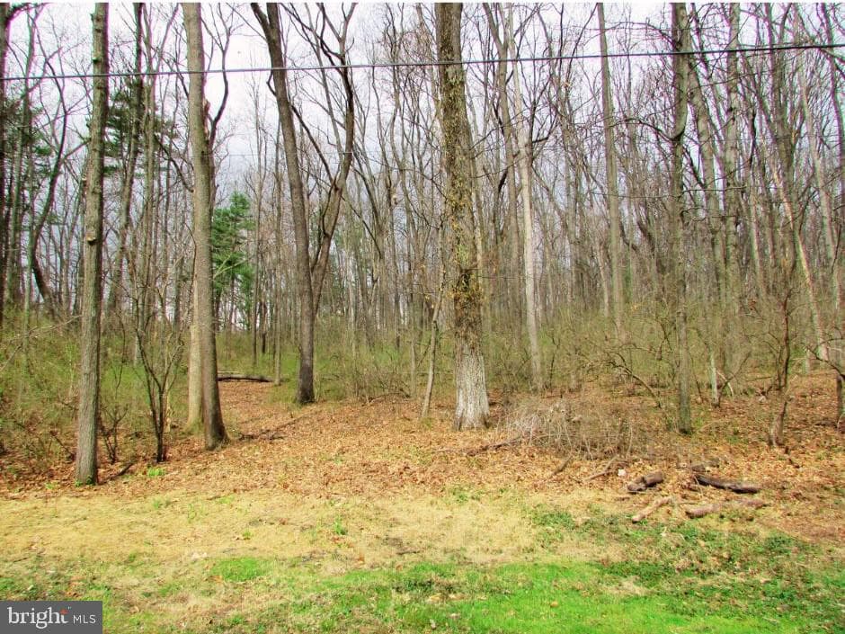 200 Tall Oaks Drive photo 82