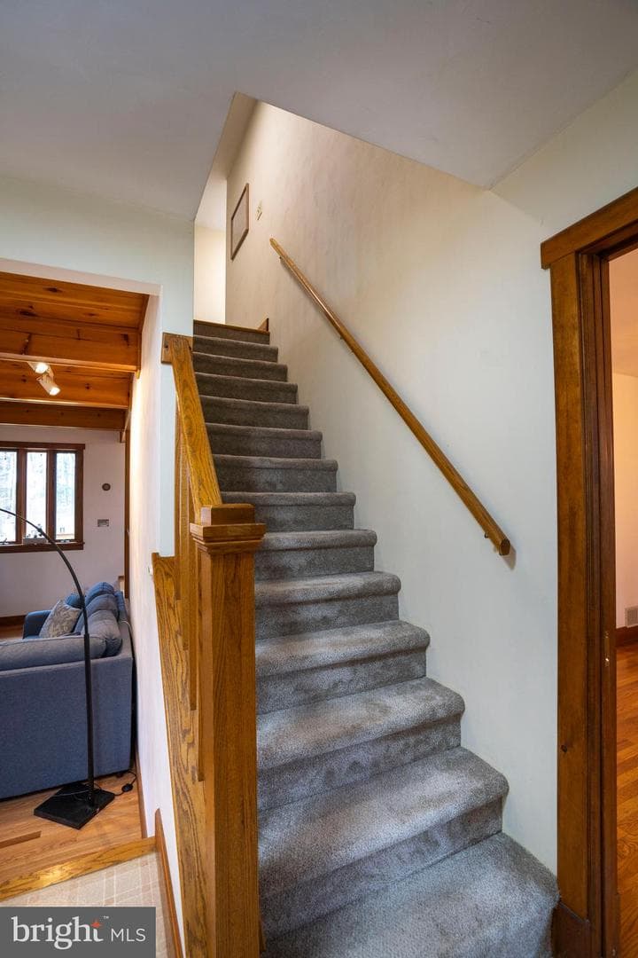 215 Woodpecker Lane photo 73