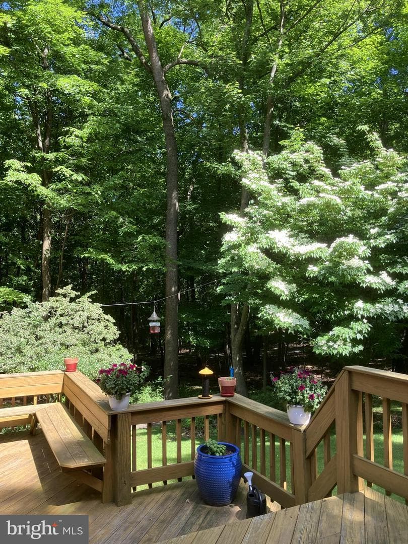 215 Woodpecker Lane photo 80