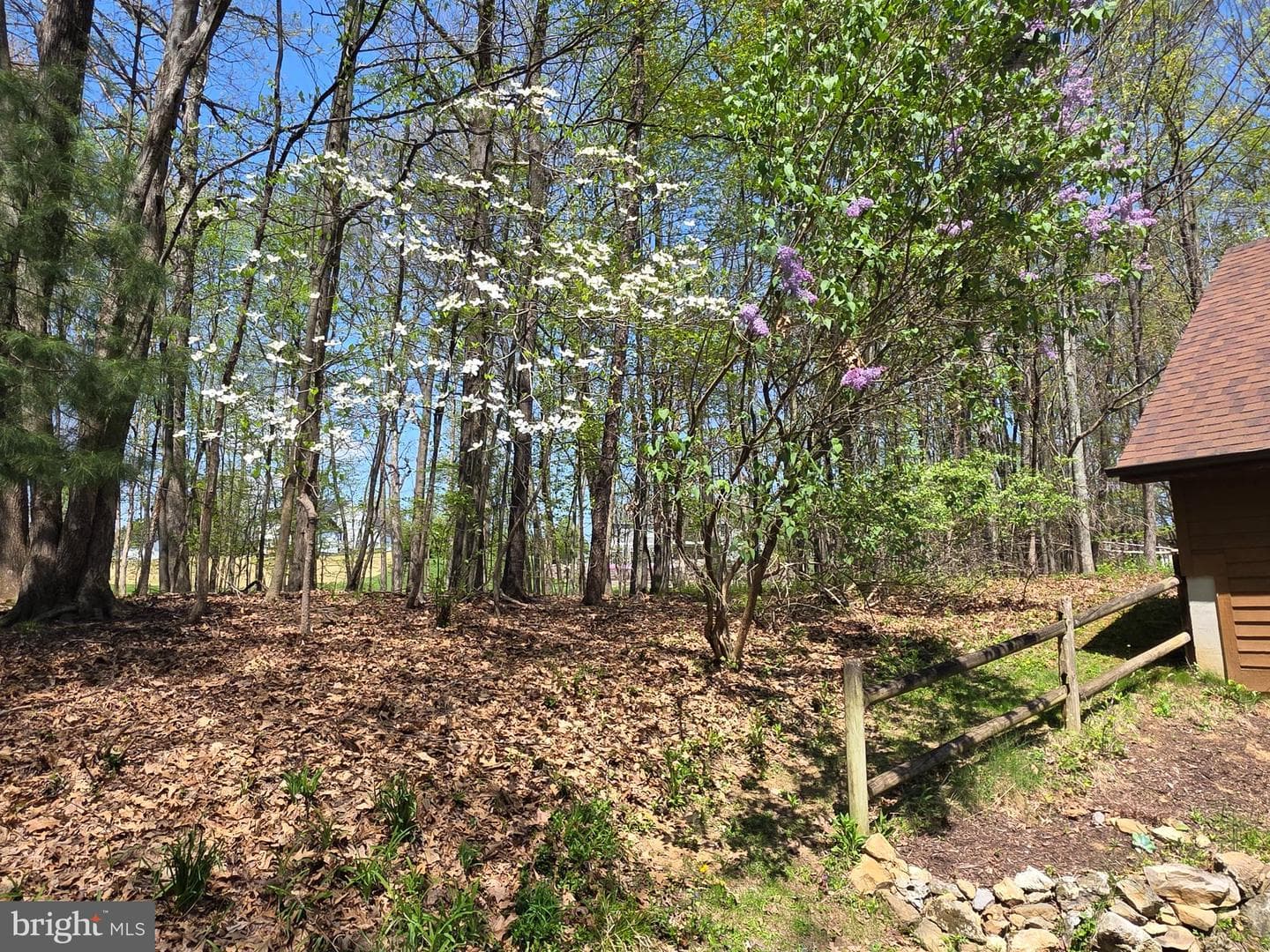 215 Woodpecker Lane photo 87