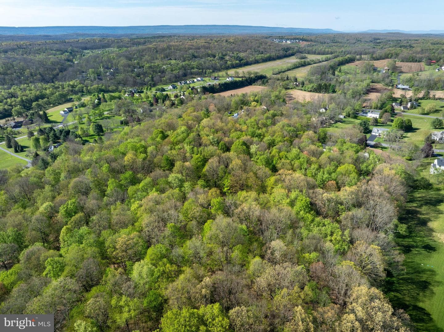 215 Woodpecker Lane photo 95