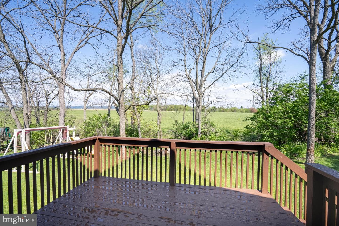 144 Steeplechase Drive photo 13