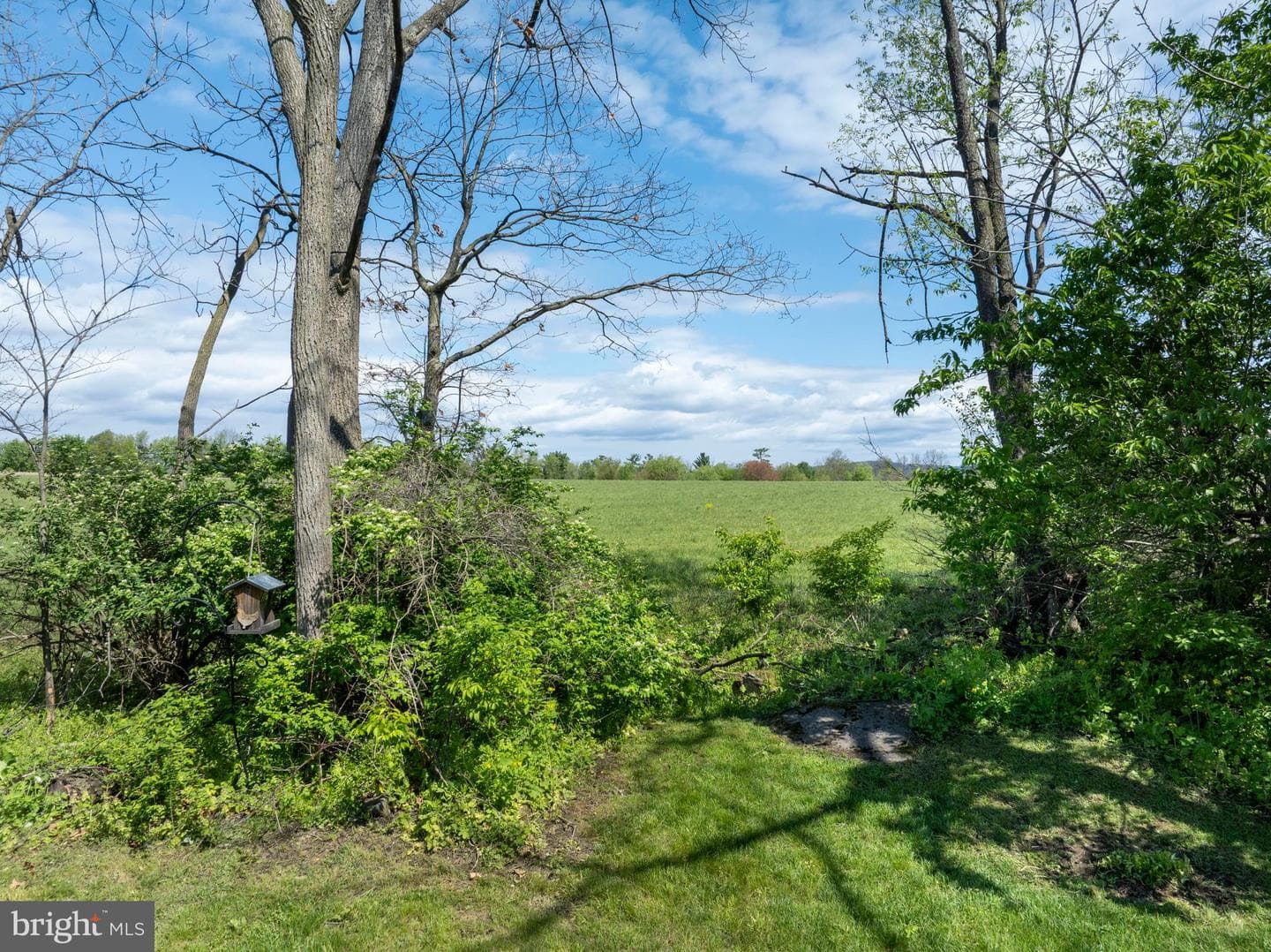 144 Steeplechase Drive photo 44