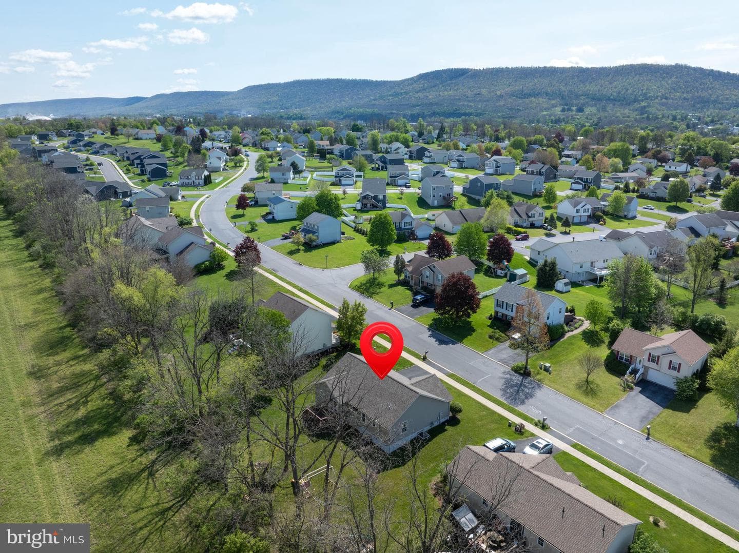 144 Steeplechase Drive photo 46