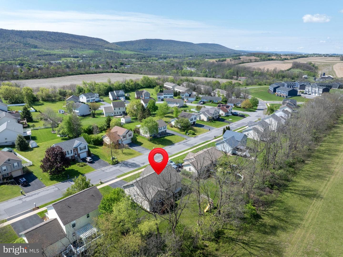 144 Steeplechase Drive photo 48