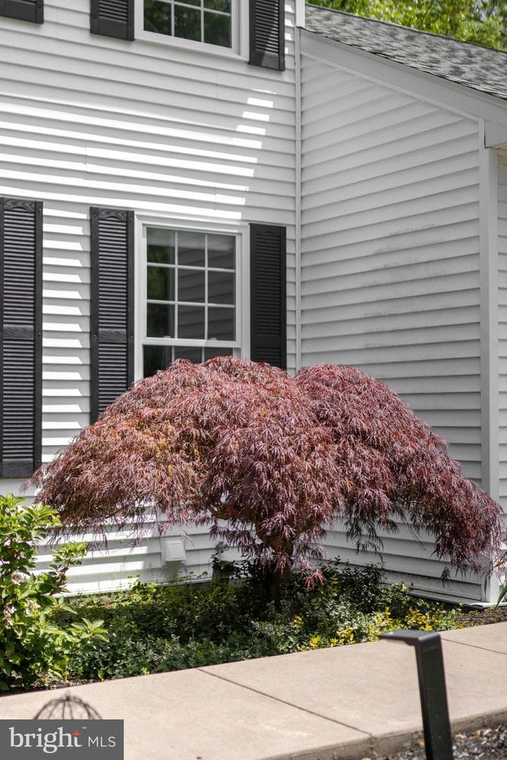 655 Belmont Circle photo 5