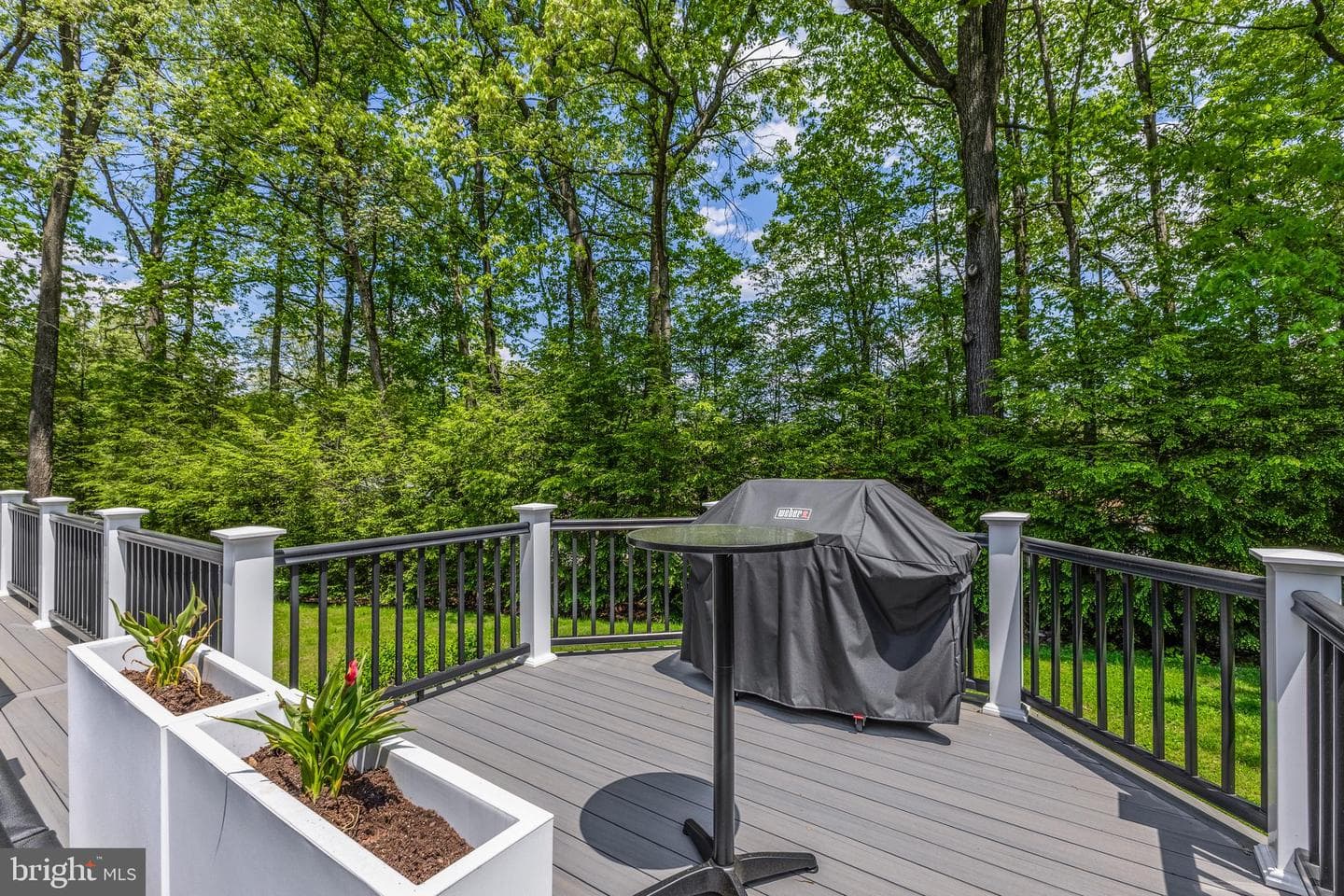 655 Belmont Circle photo 61